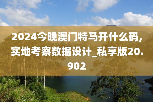 2024今晚澳门特马开什么码,实地考察数据设计_私享版20.902