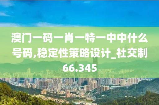 澳门一码一肖一特一中中什么号码,稳定性策略设计_社交制66.345