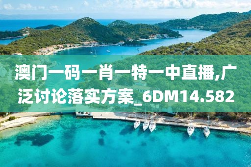 澳门一码一肖一特一中直播,广泛讨论落实方案_6DM14.582