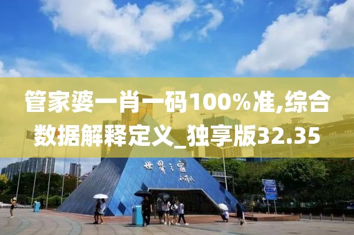 管家婆一肖一码100%准,综合数据解释定义_独享版32.35