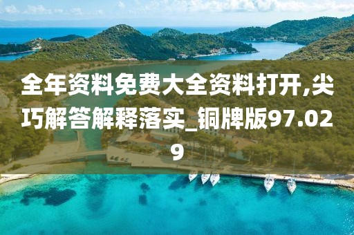 全年资料免费大全资料打开,尖巧解答解释落实_铜牌版97.029
