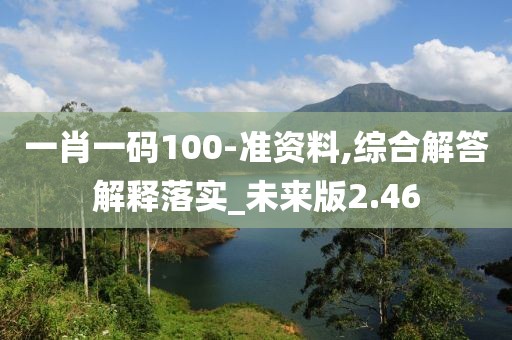 一肖一码100-准资料,综合解答解释落实_未来版2.46