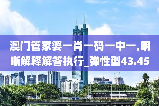 澳门管家婆一肖一码一中一,明晰解释解答执行_弹性型43.45