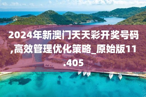 2024年新澳门天天彩开奖号码,高效管理优化策略_原始版11.405
