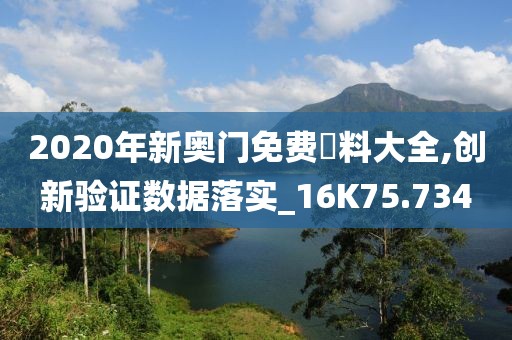 2020年新奥门免费資料大全,创新验证数据落实_16K75.734
