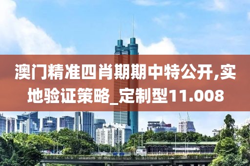 澳门精准四肖期期中特公开,实地验证策略_定制型11.008