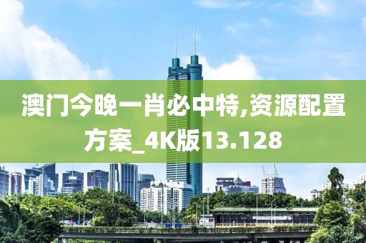 澳门今晚一肖必中特,资源配置方案_4K版13.128