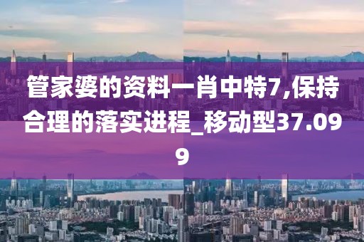 管家婆的资料一肖中特7,保持合理的落实进程_移动型37.099