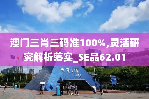 澳门三肖三码准100%,灵活研究解析落实_SE品62.01