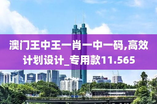 澳门王中王一肖一中一码,高效计划设计_专用款11.565