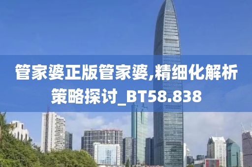 管家婆正版管家婆,精细化解析策略探讨_BT58.838