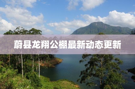 蔚县龙翔公棚最新动态更新