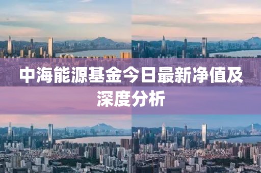 中海能源基金今日最新净值及深度分析