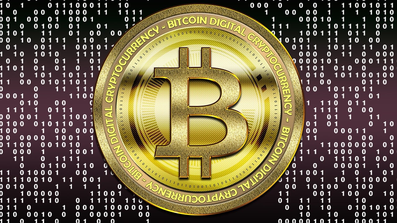 SHIB币最新价格动态分析与实时价格更新