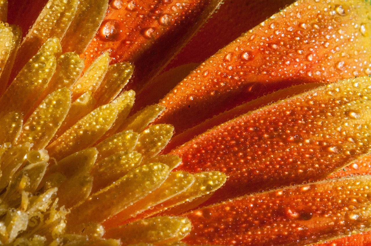 西平最新动态,城市发展与民生改善的新篇章全面解读