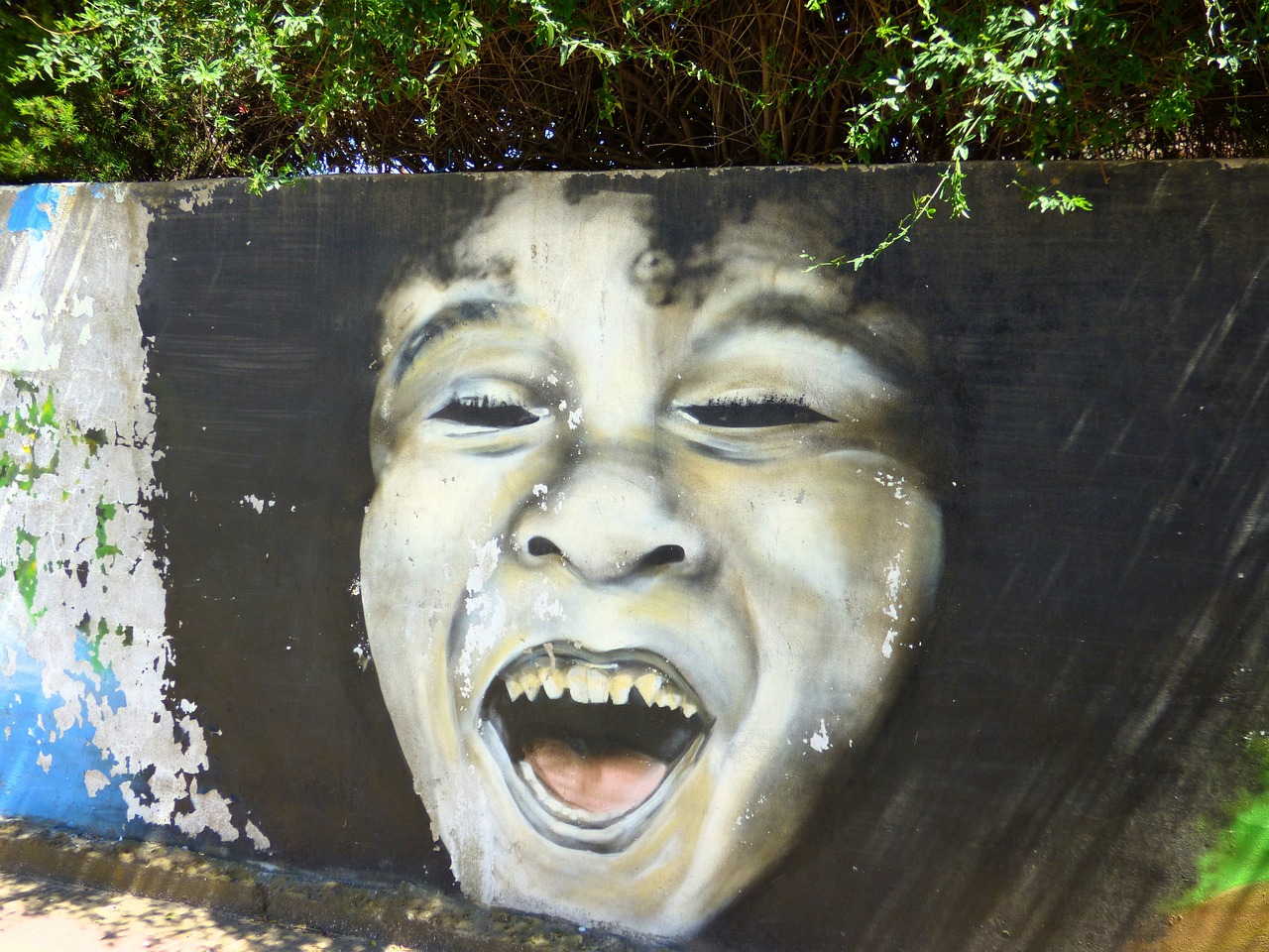 西平最新动态,城市发展与民生改善的新篇章全面解读