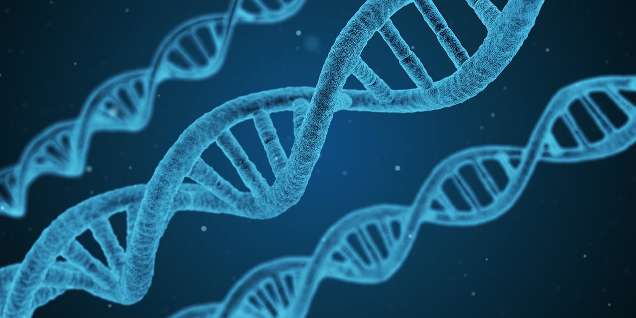 始祖鸟最新研究进展揭示古老生物演化新篇章