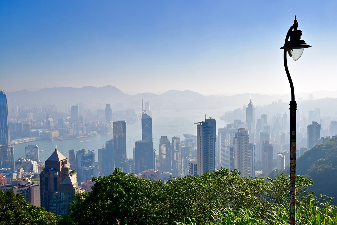 舞阳颐景苑最新售价揭秘，分析与市场趋势预测