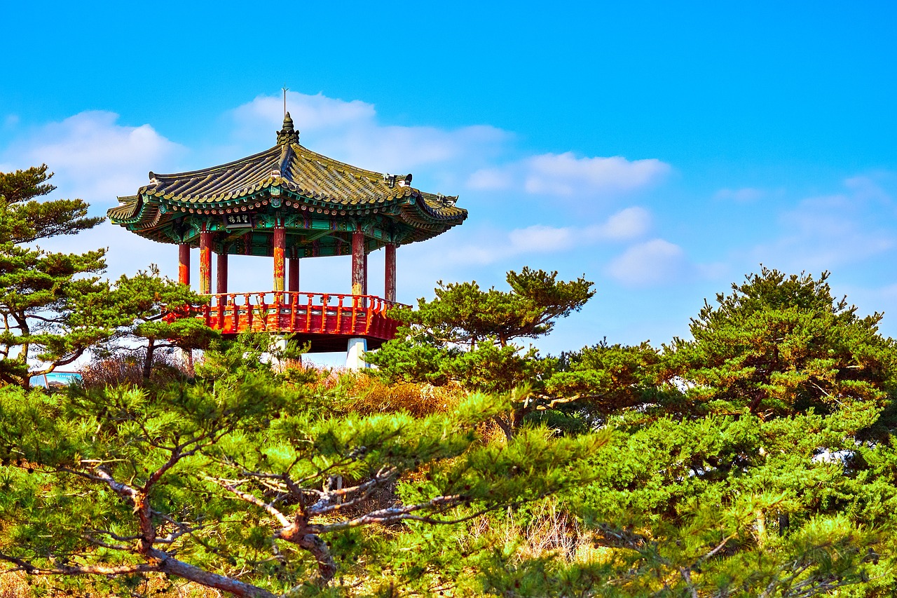 南阳云朝寺最新动态，发展与保护的和谐共融